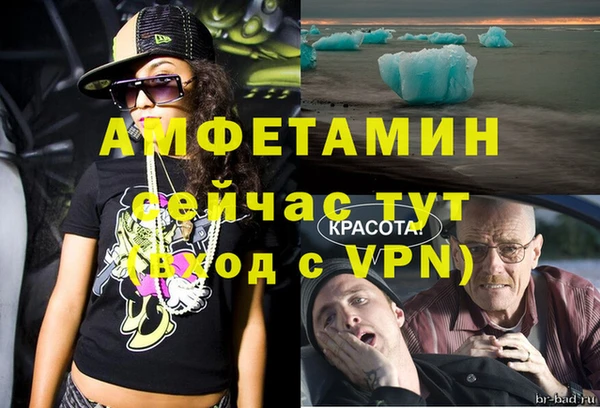 стафф Богданович
