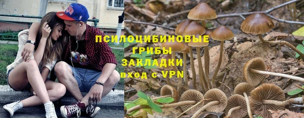 ALPHA PVP Богородицк