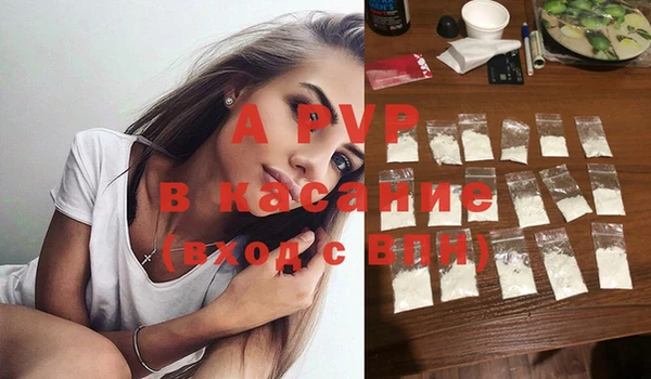 стафф Богданович