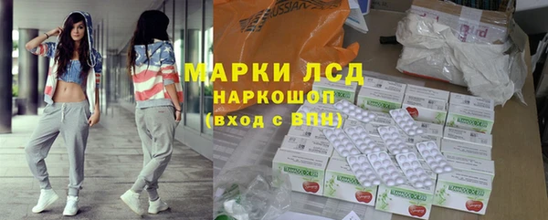 стафф Богданович