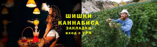 стафф Богданович
