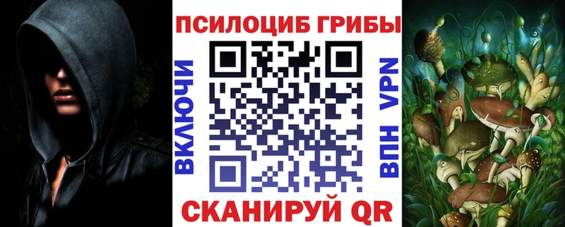 Псилоцибиновые грибы Psilocybine cubensis  гидра зеркало  Кириши 